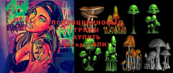 сатива Майский