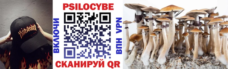 Галлюциногенные грибы Cubensis  Таганрог 